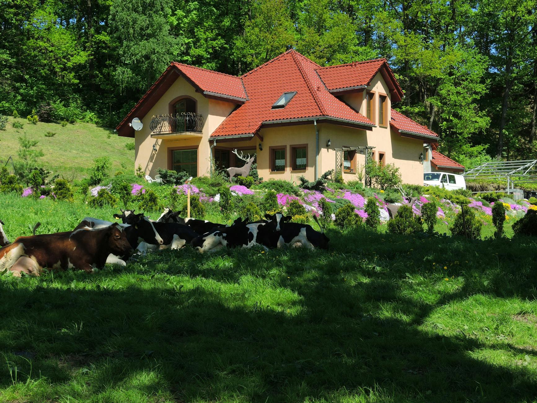 Mapa z zaznaczonymi projektami Funduszy Europejskich w Bieruniu, widoczne symbole inwestycji.